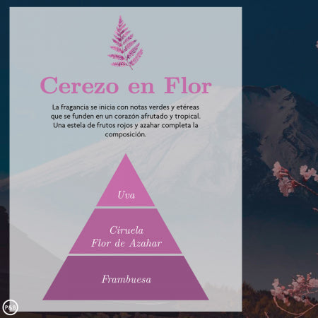 Spray Ambientador Ambar Zen - Flôr de Cerejeira
